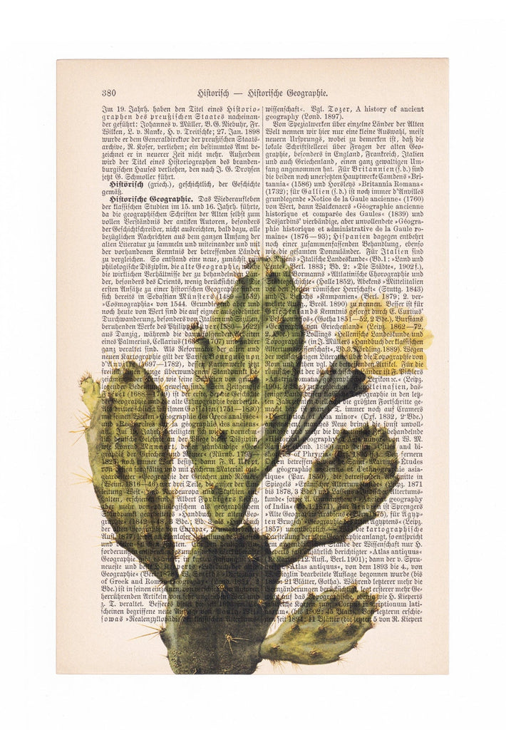 Cactus - Art on Words