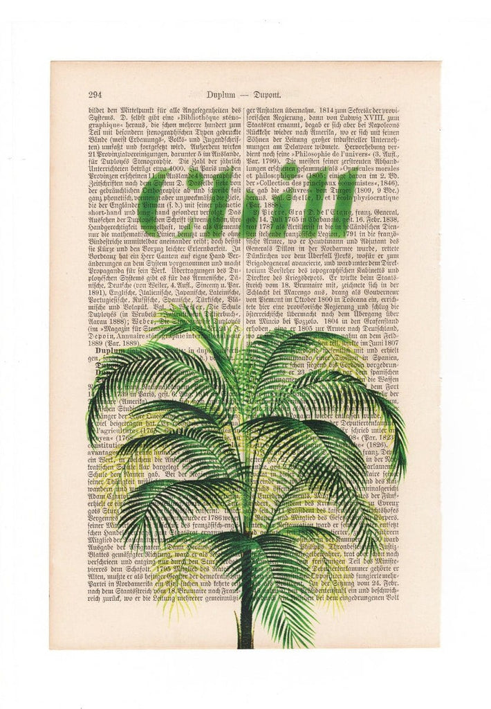 Chilled Palm - Art on Words