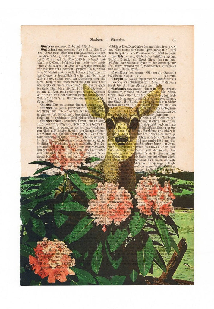 Curious fawn - Art on Words