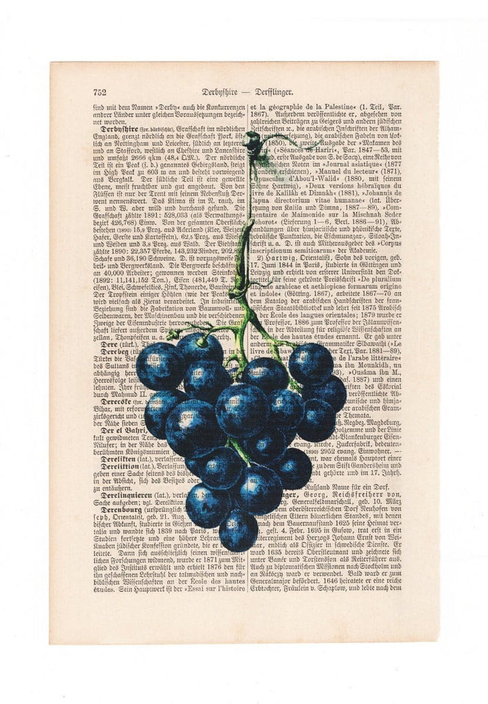 Grapes - Art on Words