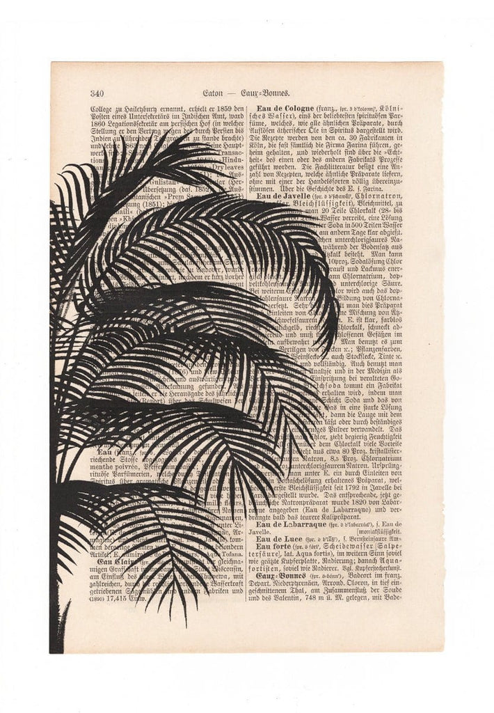 Palm Shadow - Art on Words