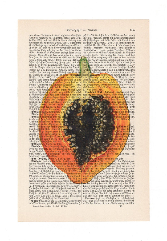 Papaya - Art on Words