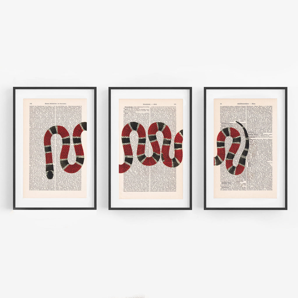 Snake - Set - Art on Words