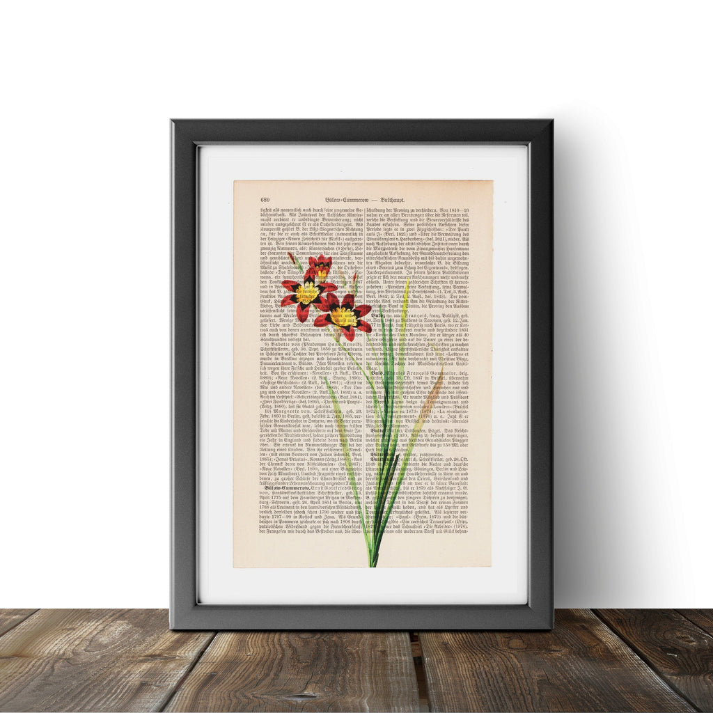 Wandflower - Flower - Art on Words