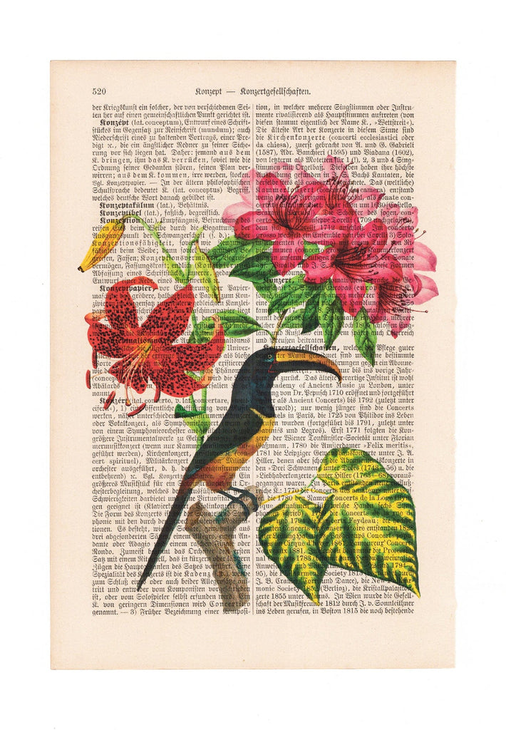 Flower Bird - Art on Words