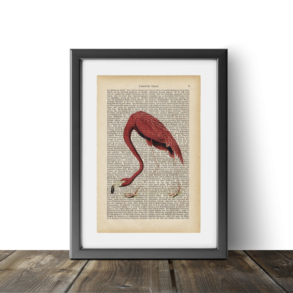 Flamingo - Art on Words