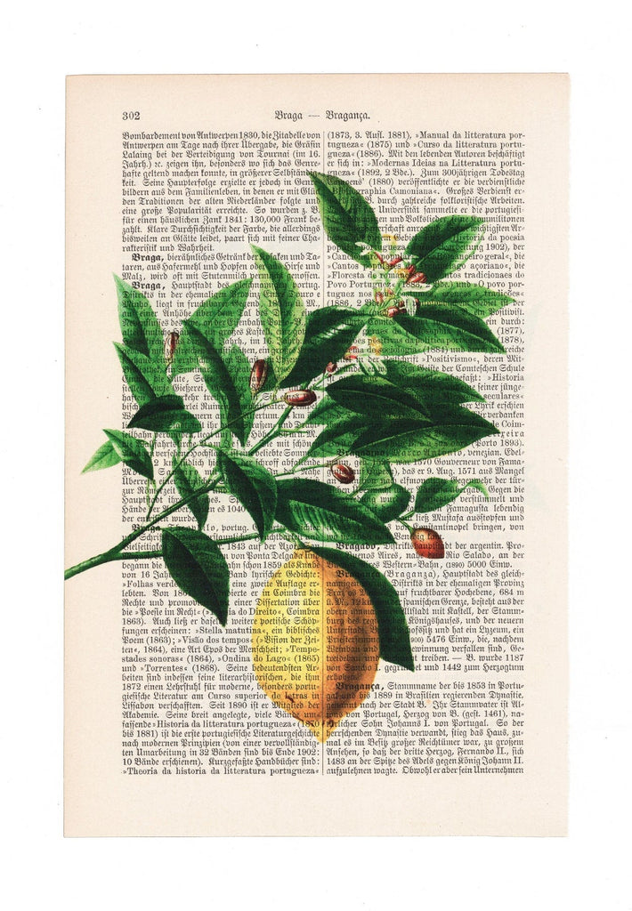 Lemon Tree - Art on Words