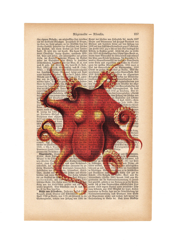 Octopus - Art on Words