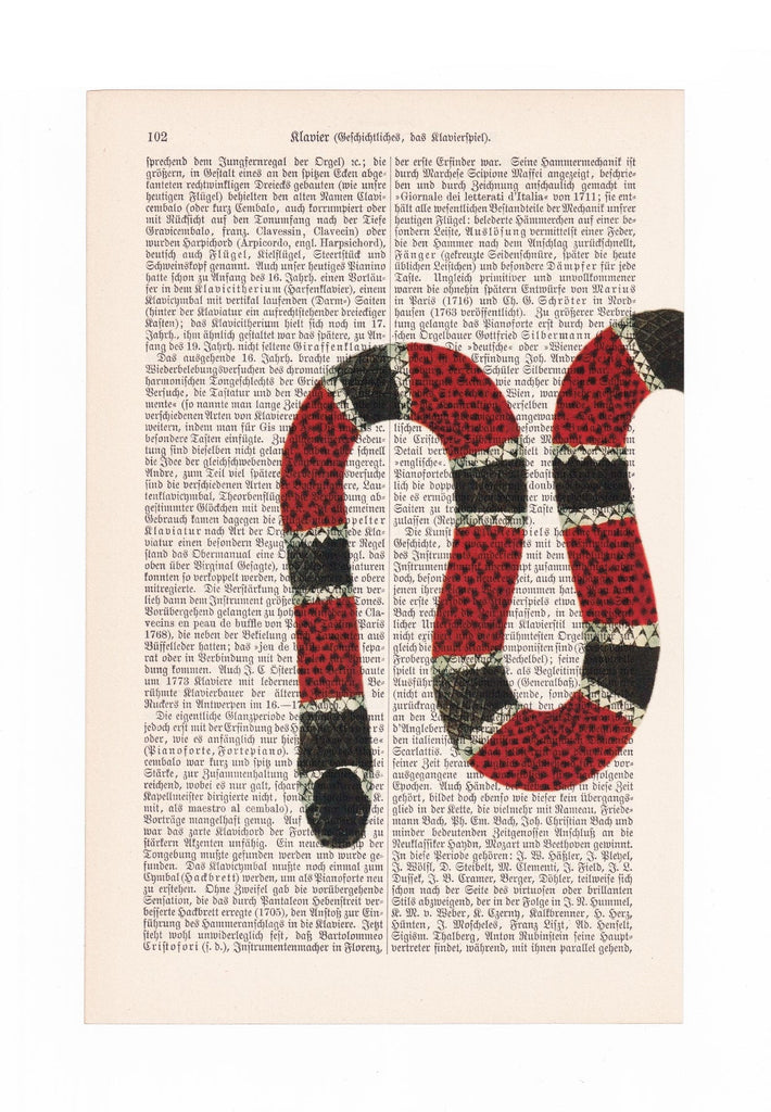 Snake - Set - Art on Words