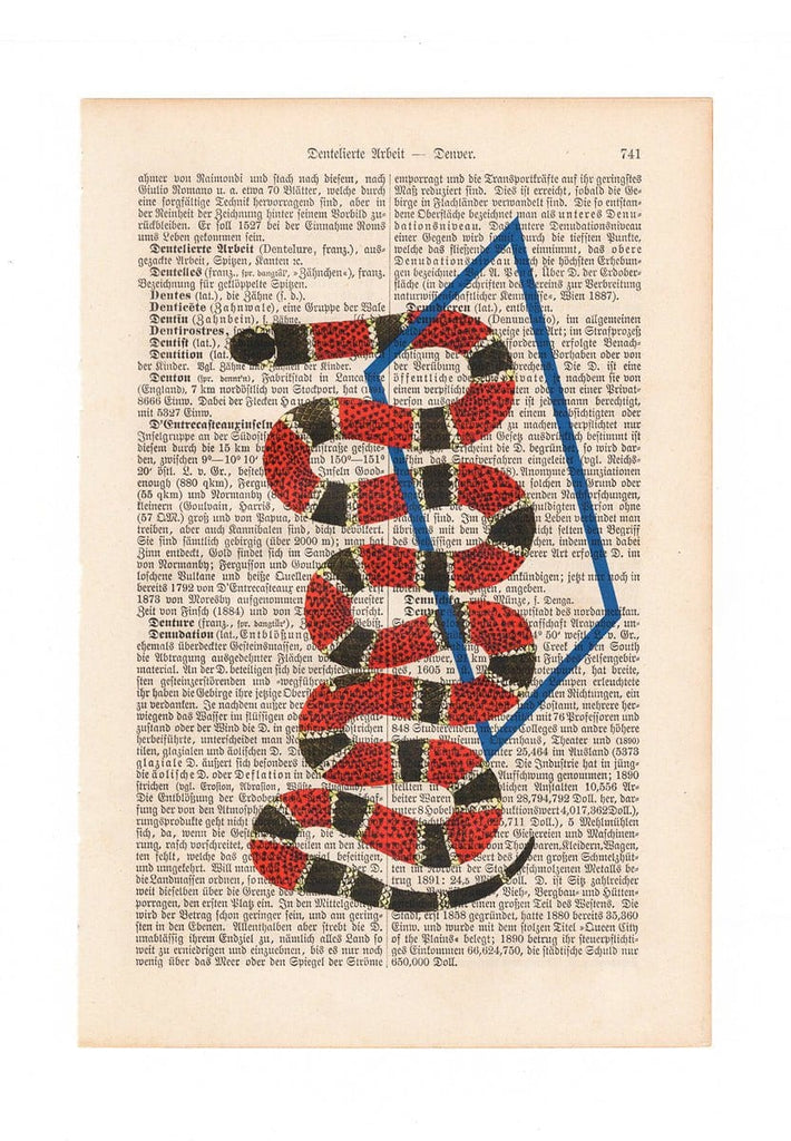 Snake in Time - Art on Words